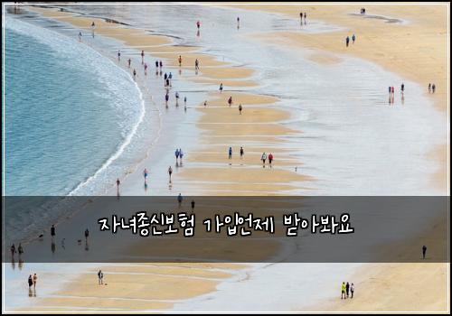 자녀종신보험 가입언제  받아봐요