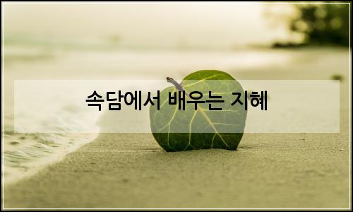 오늘의 이미지