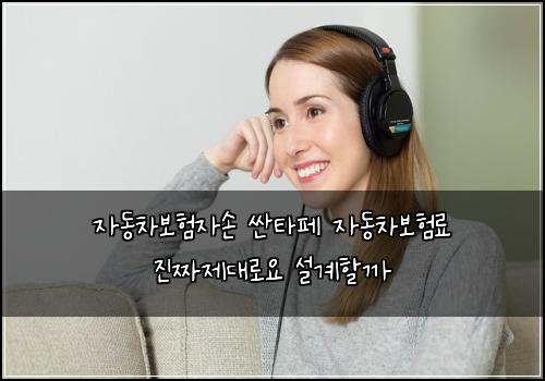 자동차보험자손 싼타페 자동차보험료 진짜제대로요 설계할까