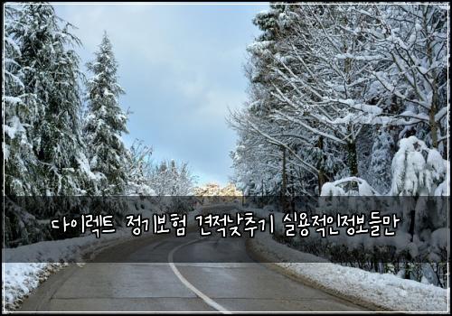 다이렉트 정기보험 견적낮추기  실용적인정보들만