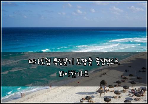 태아보험 특징알기  보장을 중점적으로 봐야한가요