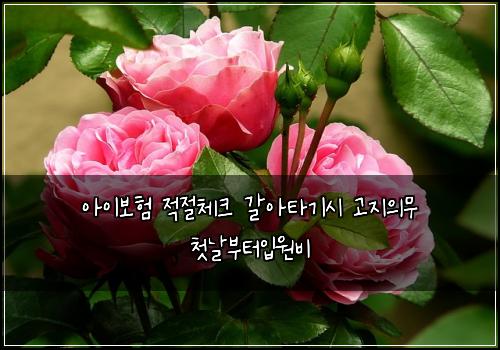 아이보험 적절체크  갈아타기시 고지의무 첫날부터입원비