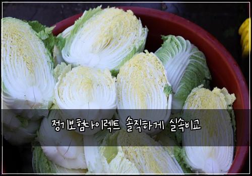 정기보험다이렉트 솔직하게 실속비교