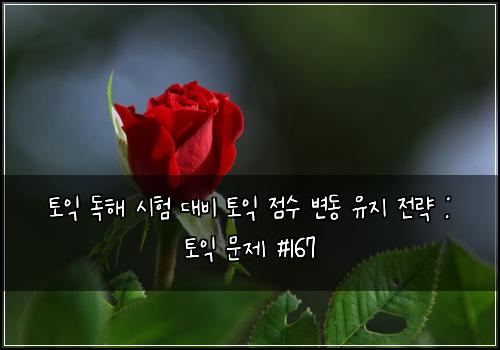 토익 독해 시험 대비 토익 점수 변동 유지 전략 : 토익 문제 #167