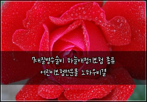 7대질병수술비 하늘애정기보험 종류 어린이보험전문몰 노하우비결