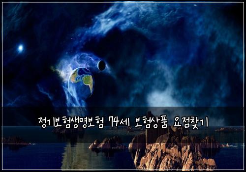 정기보험생명보험 74세 보험상품 요점찾기