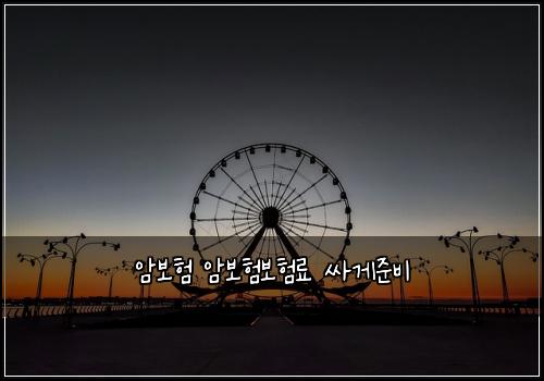 암보험 암보험보험료 싸게준비