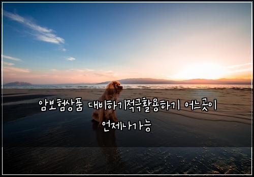 암보험상품 대비하기적극활용하기 어느곳이 언제나가능