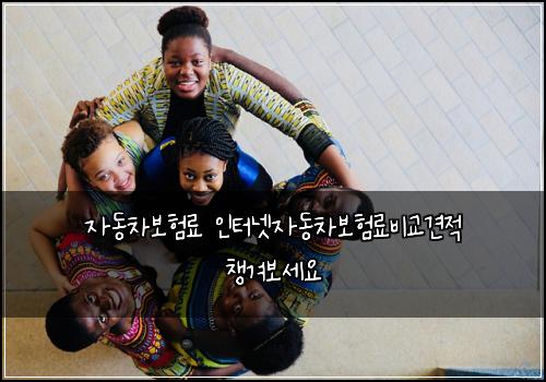 자동차보험료 인터넷자동차보험료비교견적 챙겨보세요