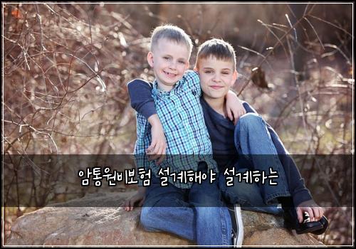 암통원비보험 설계해야  설계하는