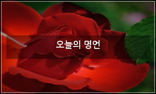 오늘의 이미지