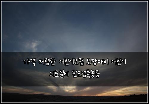 가격 저렴한 어린이보험 보장대비  어린이 의료실비 편도염축농증