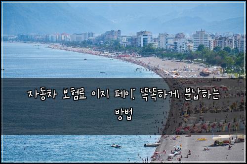 자동차 보험료 이지 페이: 똑똑하게 분납하는 방법