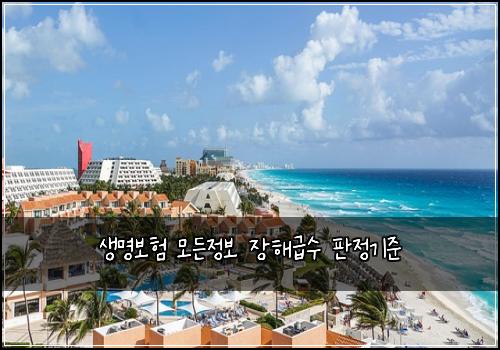 생명보험 모든정보  장해급수 판정기준