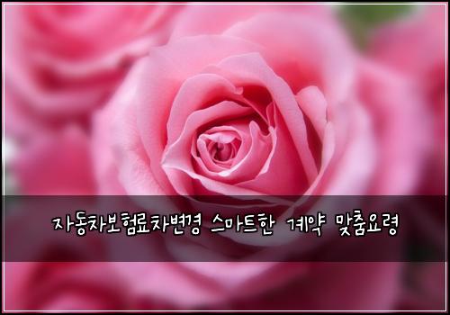 자동차보험료차변경 스마트한 계약 맞춤요령