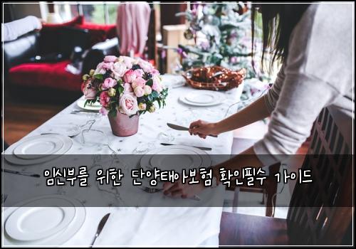 임신부를 위한 단양태아보험 확인필수  가이드
