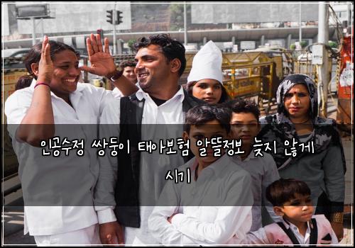 인공수정 쌍둥이 태아보험 알뜰정보  늦지 않게 시기