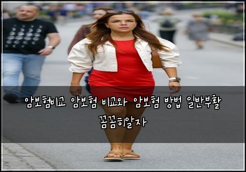 암보험비교 암보험 비교와 암보험 방법 일반부활 꼼꼼히알자