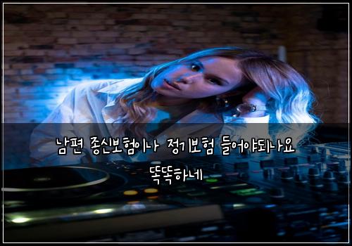 남편 종신보험이나 정기보험 들어야되나요 똑똑하네