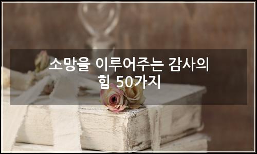 오늘의 이미지