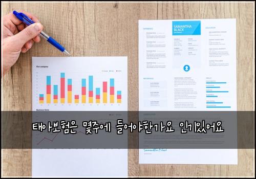 태아보험은 몇주에 들어야한가요 인기있어요