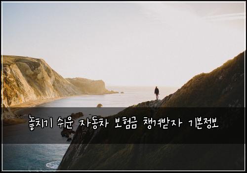 놓치기 쉬운 자동차 보험금 챙겨받자 기본정보