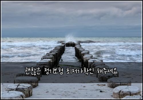 괜찮은 정기보험 최저가확인  해주세요