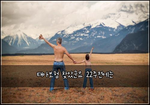 태아보험 찾았군요  22주전에는