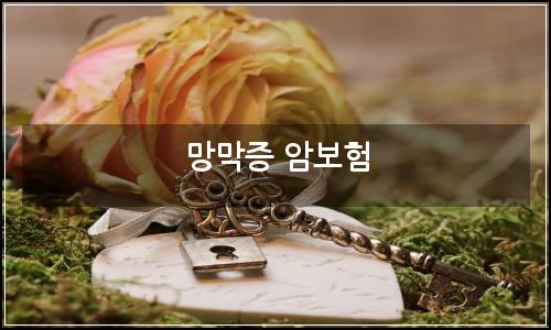 오늘의 이미지