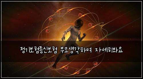 정기보험종신보험 부모생각하며 자세히봐요