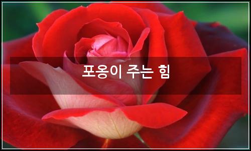 오늘의 이미지