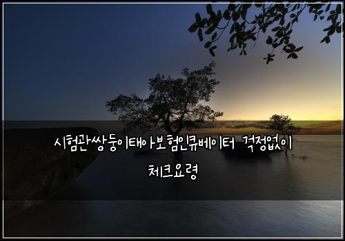 시험관쌍둥이태아보험인큐베이터 걱정없이 체크요령