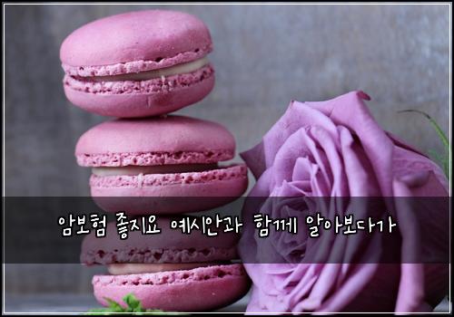 암보험 좋지요  예시안과 함께 알아보다가