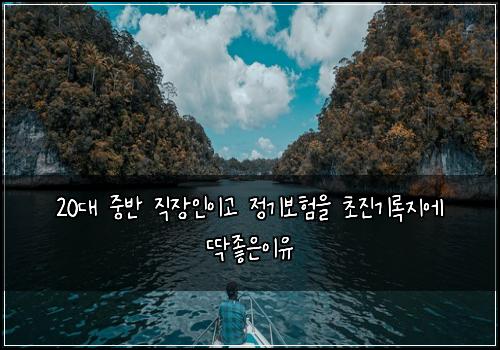 20대 중반 직장인이고 정기보험을 초진기록지에 딱좋은이유