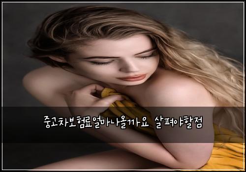 중고차보험료얼마나올까요 살펴야할점
