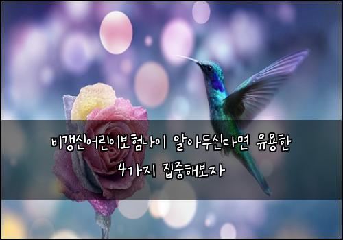 비갱신어린이보험나이 알아두신다면 유용한 4가지 집중해보자