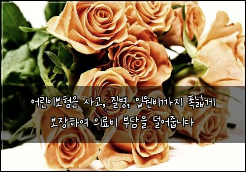 오늘의 이미지