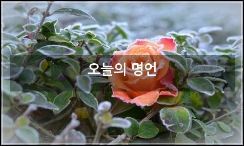오늘의 이미지