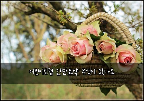 어린이보험 간단요약  무엇이 있나요
