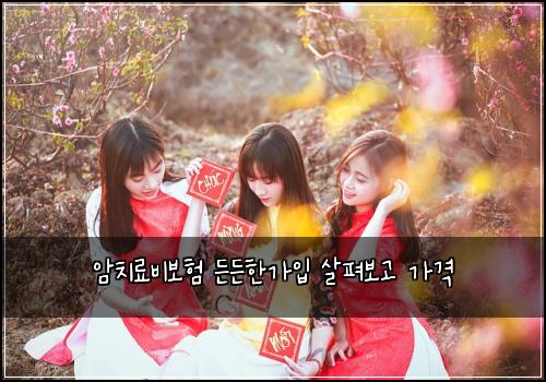 암치료비보험 든든한가입  살펴보고 가격