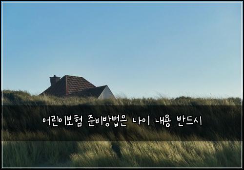 어린이보험 준비방법은  나이 내용 반드시
