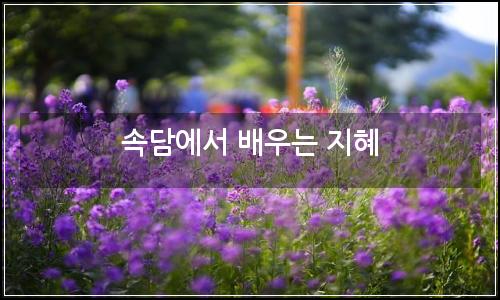 오늘의 이미지