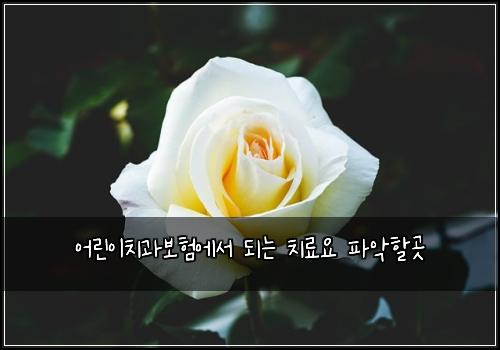 어린이치과보험에서 되는 치료요 파악할곳