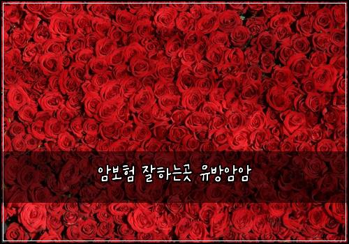 암보험 잘하는곳  유방암암