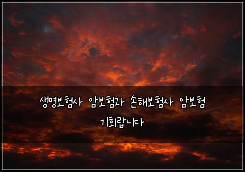 생명보험사 암보험과 손해보험사 암보험 기회랍니다