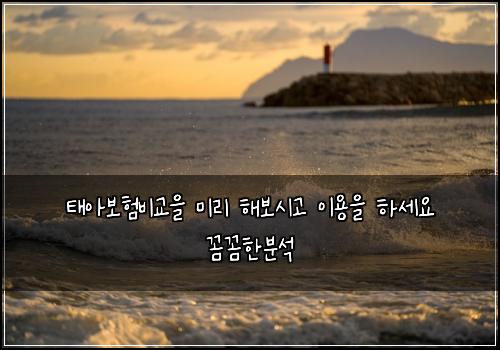 태아보험비교을 미리 해보시고 이용을 하세요 꼼꼼한분석
