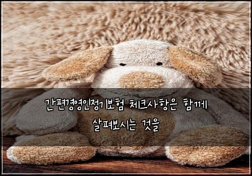 간편경영인정기보험 체크사항은  함께 살펴보시는 것을