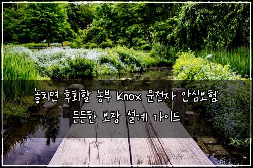  놓치면 후회할 동부 Knox 운전자 안심보험: 든든한 보장 설계 가이드