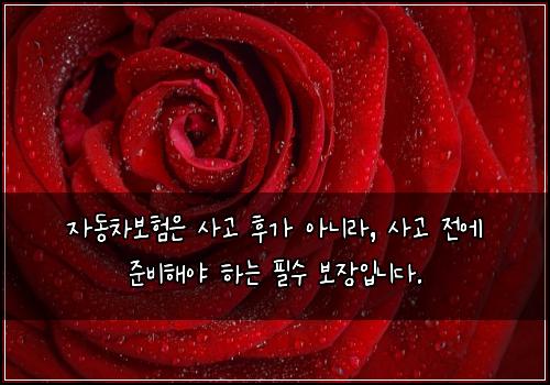 오늘의 이미지