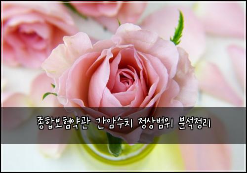 종합보험약관 간암수치 정상범위 분석정리